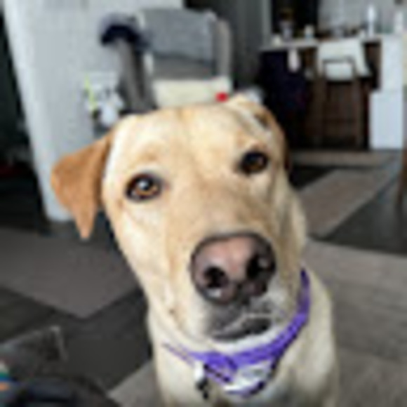 Meet your Posher, Moira - Picture 1 of 1